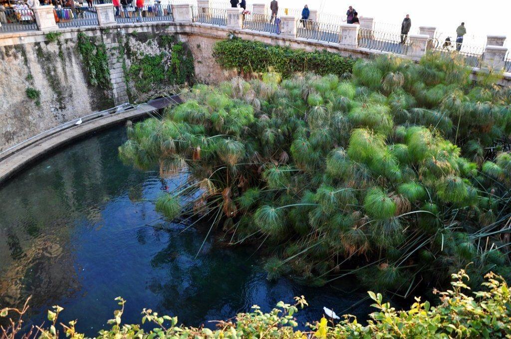 Siracusa Vacanze Сиракуза Стая снимка
